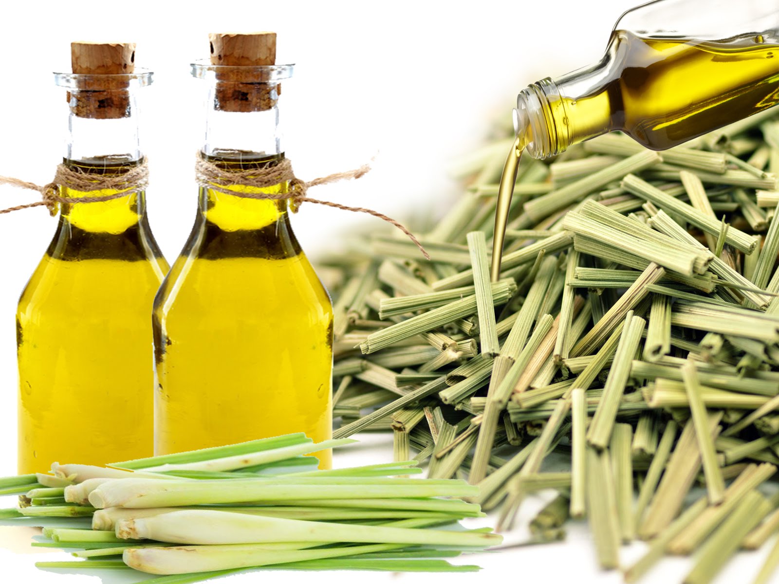 Lemon grass oil – Savita Organics